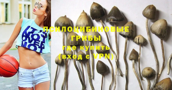 герыч Кулебаки