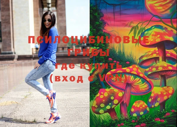 гидра Кукмор