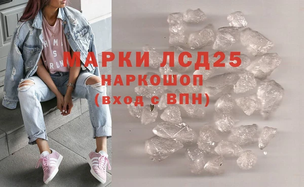 гидра Кукмор