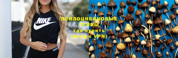 бошки Краснослободск
