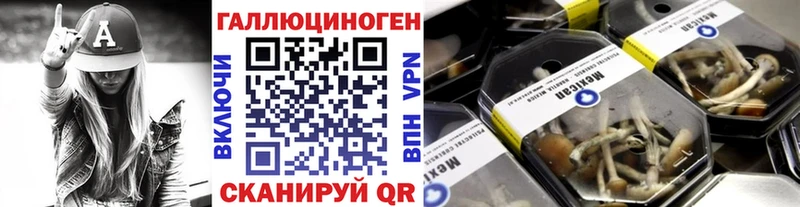 Псилоцибиновые грибы Psilocybine cubensis  что такое наркотик  Москва 